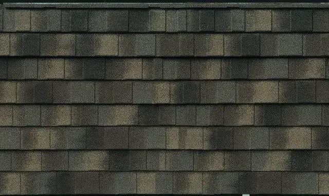 Solomon Bros Construction Services Images