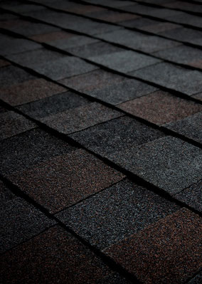 Solomon Bros Construction Services Images