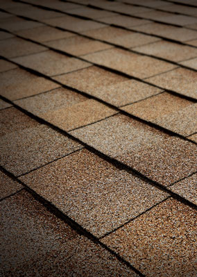 Solomon Bros Construction Services Images