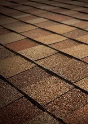 Solomon Bros Construction Services Images